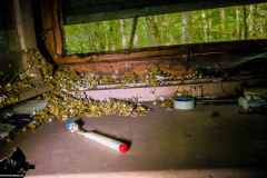 Renault-Goelette_HDR-5