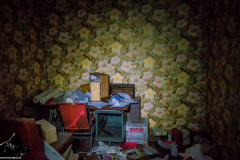 Renault-Goelette_HDR-6